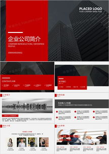 欧美风企业介绍PPT模板 在熊猫办公一键获取专业应用软件服务公司简介方案